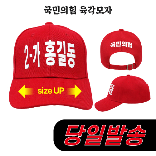 (2시이전 주문) 국민의힘 육각모자