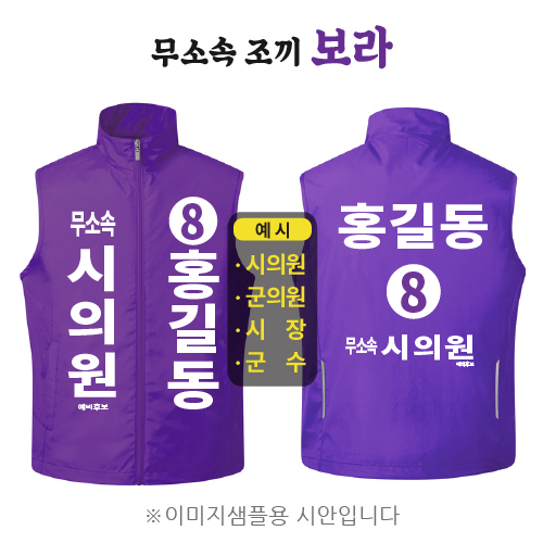 무소속 선거조끼 보라