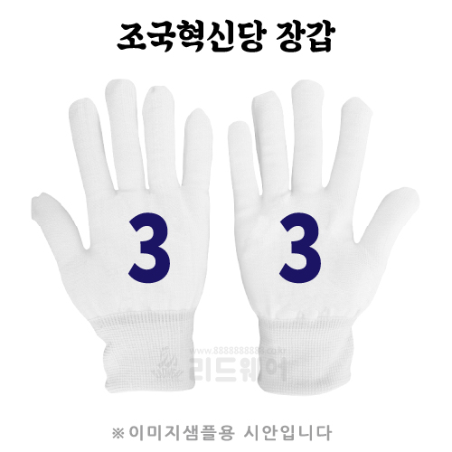 조국혁신당 백색장갑