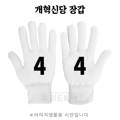 개혁신당 백색장갑